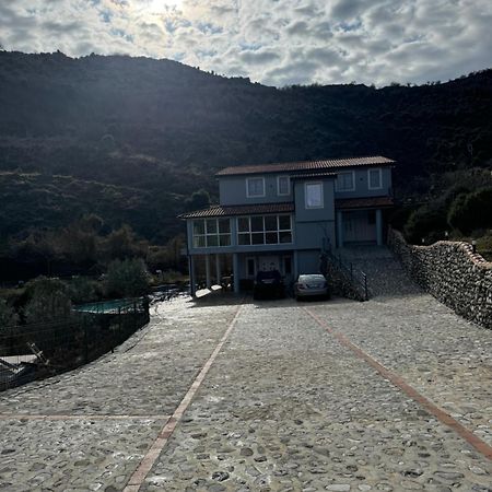 Qyteza Guest House & Camping Шкодер Экстерьер фото